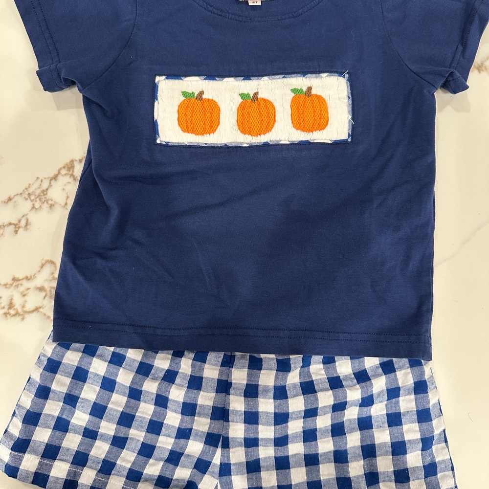 Boys 2T Blue Gingham & Navy Top Smocked Flamingo Matching Set
